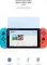 Гидрогелевая пленка ArmorStandart Anti-blue для Nintendo Switch (ARM60975)