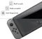 Закаленное защитное стекло Ricoddaa для Nintendo Switch